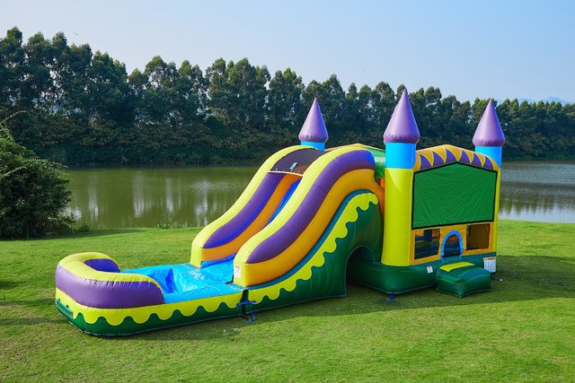 Jungle Zoo Wet or Dry Combo Jungle Zoo Wet or Dry Combo