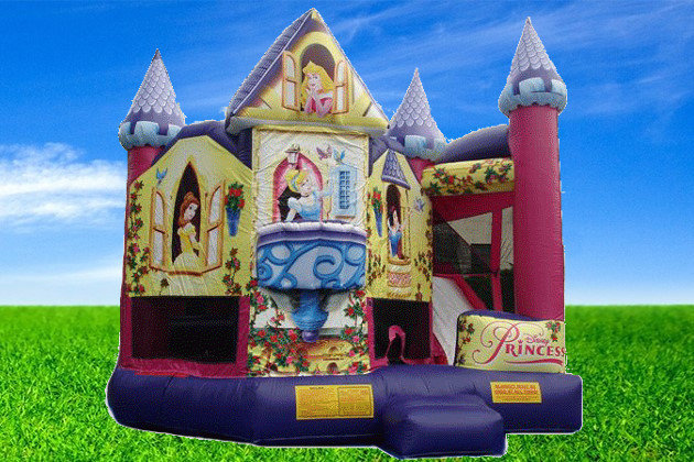 Disney Princess 3D Castle Combo Disney Princess 3D Castle Combo