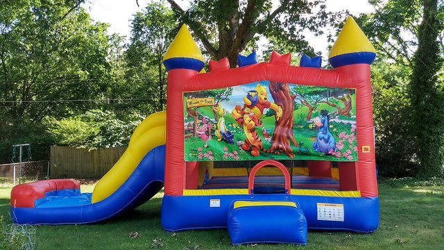 Winnie the Pooh Wet or Dry Combo Winnie the Pooh Wet or Dry Combo